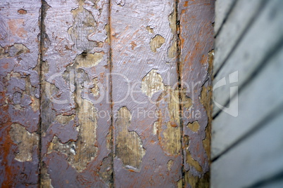 wooden floor background at day