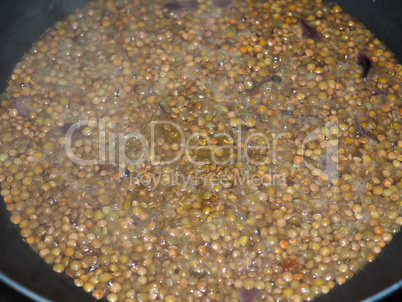 lentils pulse grain legume (Lens Culinaris) legumes vegetables food