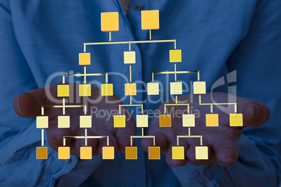 Hands show family tree