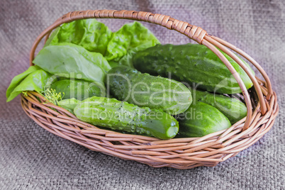 Basket of cucumbers on linen fabric.