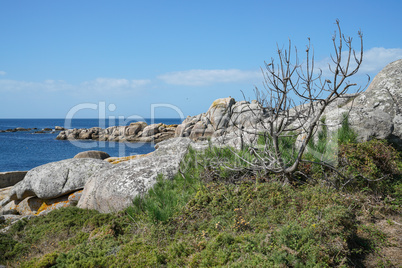 Küstenlandschaft bei O Grove, Galicien, Spanien