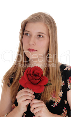 Dreaming woman holding red rose