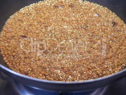 lentils pulse grain legume (Lens Culinaris) legumes vegetables food