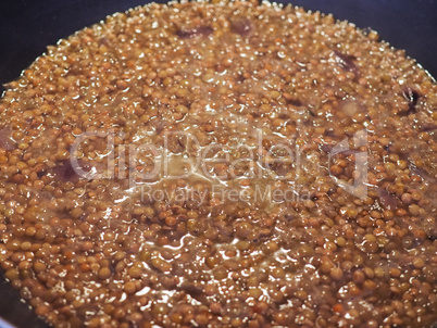 lentils pulse grain legume (Lens Culinaris) legumes vegetables food