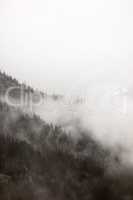 Dense fog covering slope in Norway.