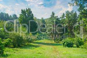 Natural forest with coniferous and deciduous trees, meadow and f