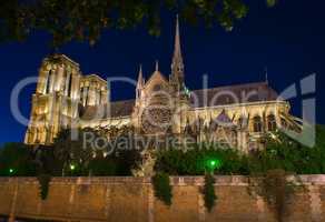 Cathedral at night