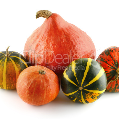 Pumpkins isolated on white background.