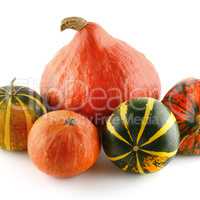 Pumpkins isolated on white background.