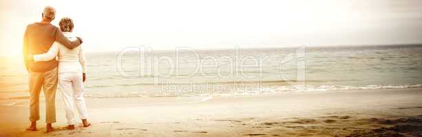 Rear view of senior couple embracing at beach