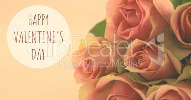 Happy Valentine's Day Text and roses
