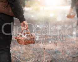 female hand holds a wicker basket with forest mushrooms