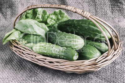 Basket of cucumbers on linen fabric.