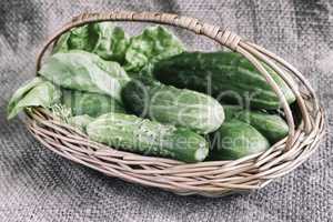 Basket of cucumbers on linen fabric.