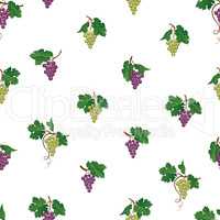 Grape seamless pattern. Wine yard natural fruit ornament. Food b