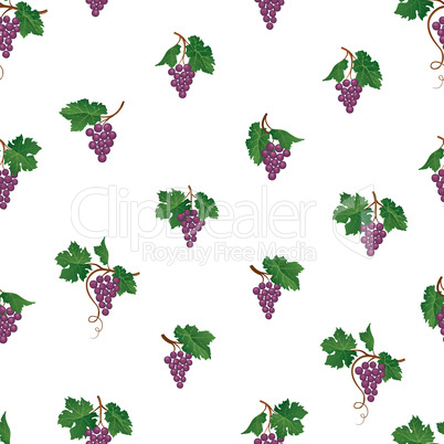 Grape seamless pattern. Wine yard natural fruit ornament. Food b