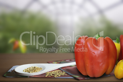 Seeds and fruits of pepper on the blurred background of the greenhouse.
