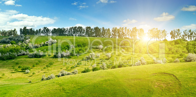 Hilly green fields and the sun on a blue sky. Wide photo.