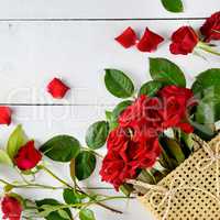 Flowers composition. Red roses on a white wooden background.