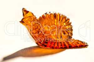 Amber snail in the sun, closeup