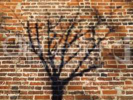 tree shadow on red brick wall