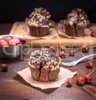 chocolate cupcakes are sprinkled with ground nut