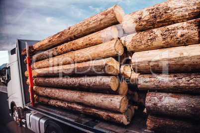 lorry log truck carries  logs