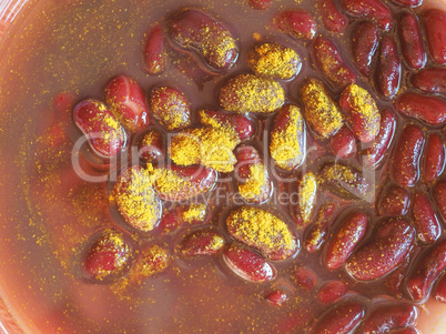 kidney beans curry legumes vegetables food