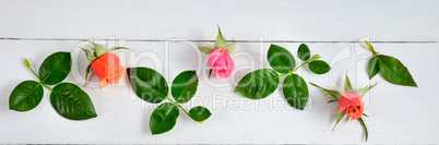 Flowers composition. Red roses on a white wooden background. Fla