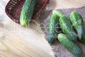 Cucumbers on a napkin on the table.