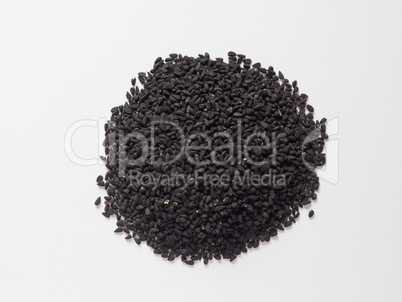 Nigella Sativa (Black Cumin) seeds