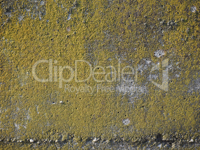 grey concrete texture background