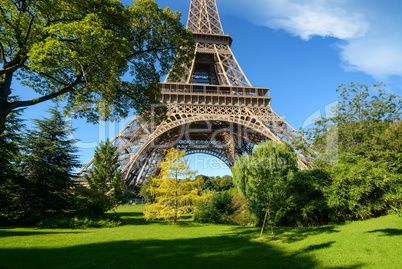 Trees in park of Paris