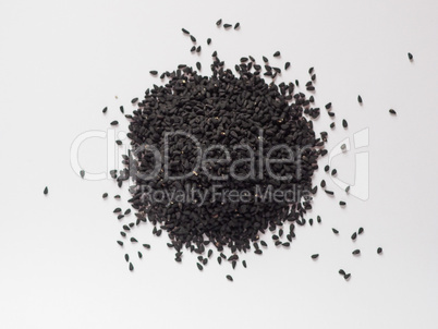 Nigella Sativa (Black Cumin) seeds