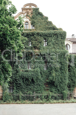 old Polish castle in the village of moszna