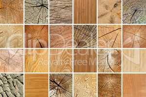 Large collection of various wooden textures. Natural background.