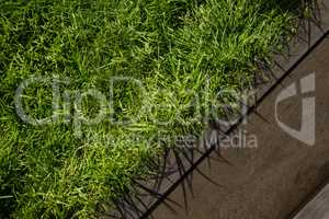 Composite image of white green grass