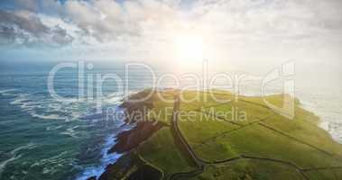 greenery with sea