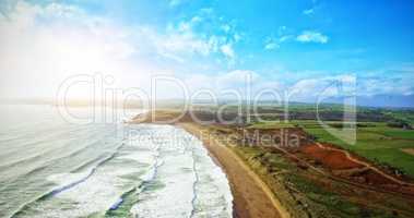 beach and greenery