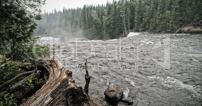 Violent river in forest then waterfall