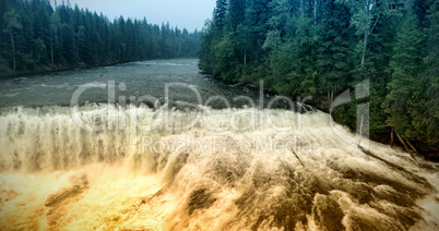 Great river in forest