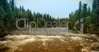 Wide river in forest