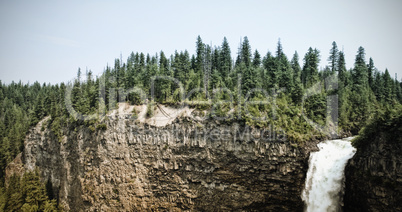 Forest on a rock with waterfall