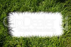 white square inside green grass