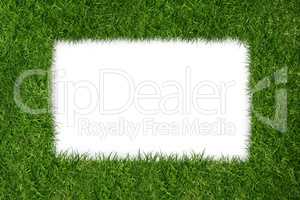 white square inside grass