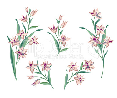 Flower set. Floral bouquet summer decorative collection for gree