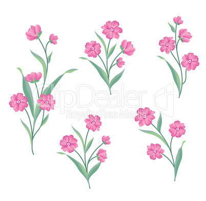 Flower set. Floral bouquet summer decorative collection for gree