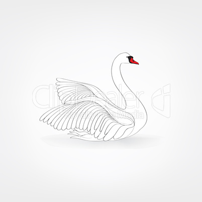 White bird isolated over white background. Swimming swan doodle