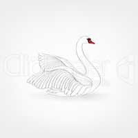 White bird isolated over white background. Swimming swan doodle