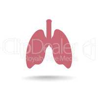 Lung anatomy icon. Medical human organ sign